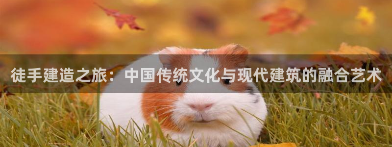 LV国际资讯官网入口：徒手建造之旅：中国传统文化与现代建筑的融合艺术