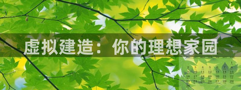 LV国际社：虚拟建造：你的理想家园