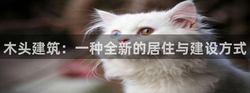 LV国际垫付金额：木头建筑：一种全新的居住与建设方式