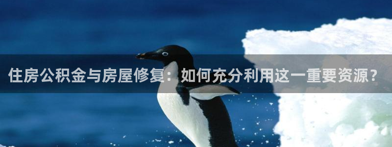 LV国际资讯官网入口：住房公积金与房屋修复：如何充分利用这一重要资源？