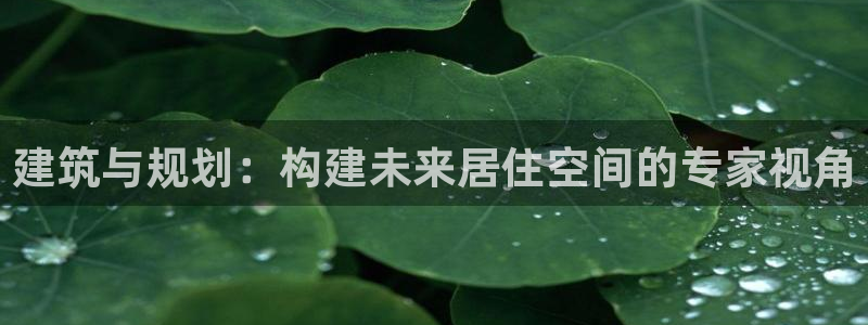LV国际简介图片：建筑与规划：构建未来居住空间的专家视角