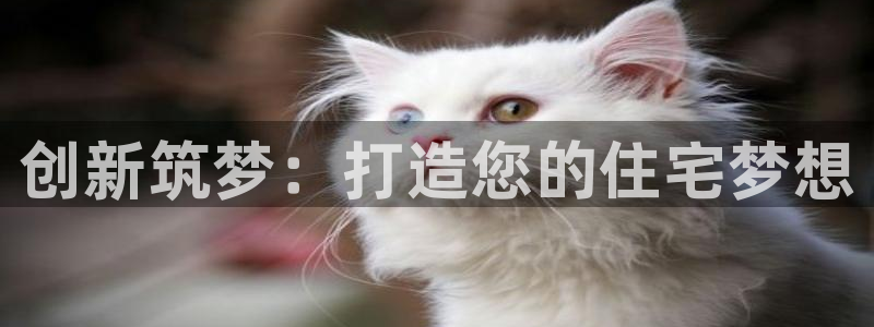 LV国际网：创新筑梦：打造您的住宅梦想