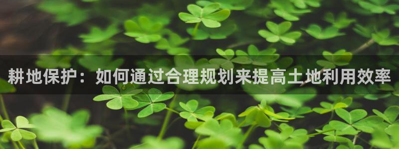 LV国际客服：耕地保护：如何通过合理规划来提高土地利用效率