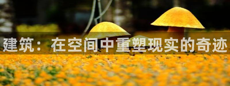 LV国际赛：建筑：在空间中重塑现实的奇迹