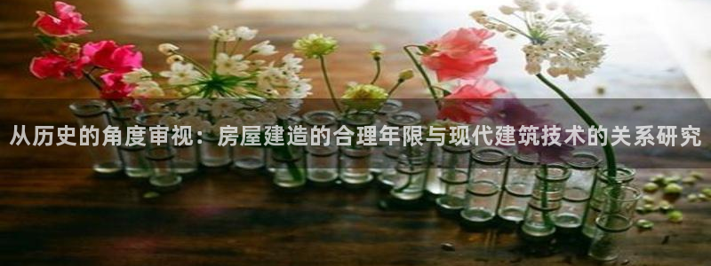 LV国际系统：从历史的角度审视：房屋建造的合理年限与现代建筑技术的关系研究