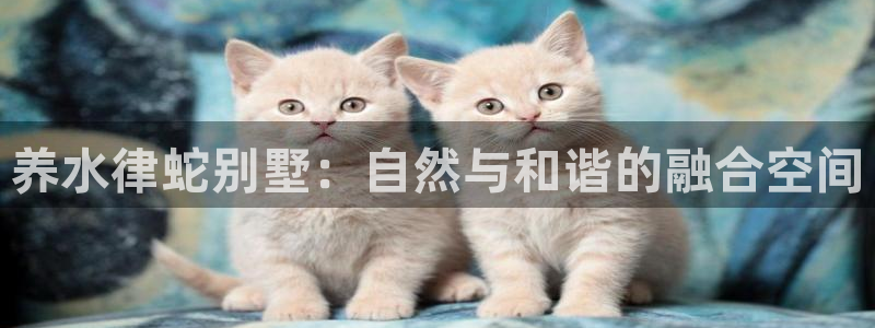 LV国际中国：养水律蛇别墅：自然与和谐的融合空间