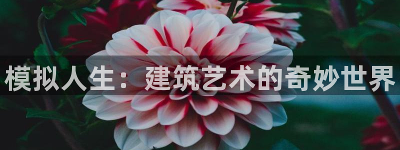 LV国际游戏软件：模拟人生：建筑艺术的奇妙世界