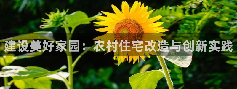 LV国际理财logo：建设美好家园：农村住宅改造与创新实践