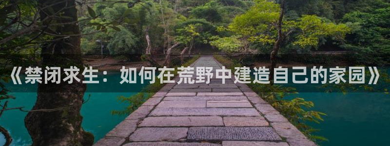 LV国际币：《禁闭求生：如何在荒野中建造自己的家园》