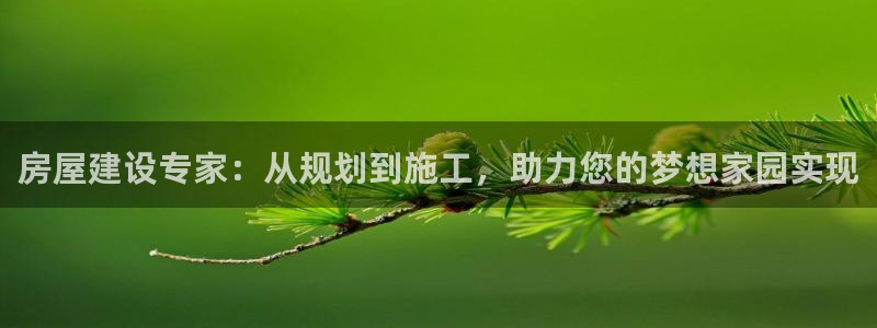 LV国际赛：房屋建设专家：从规划到施工，助力您的梦想家园实现