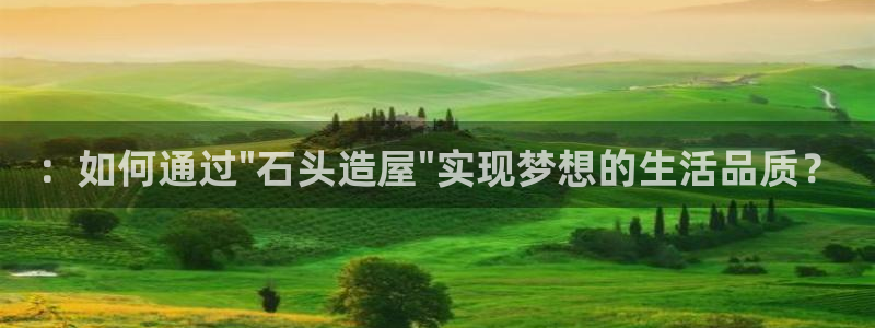 LV国际登录：：如何通过\