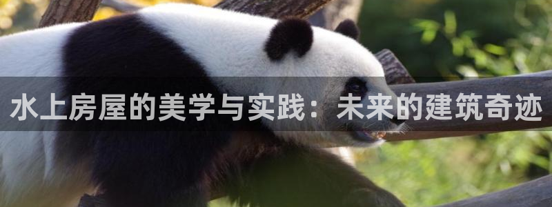 LV国际游戏大厅下载：水上房屋的美学与实践：未来的建筑奇迹