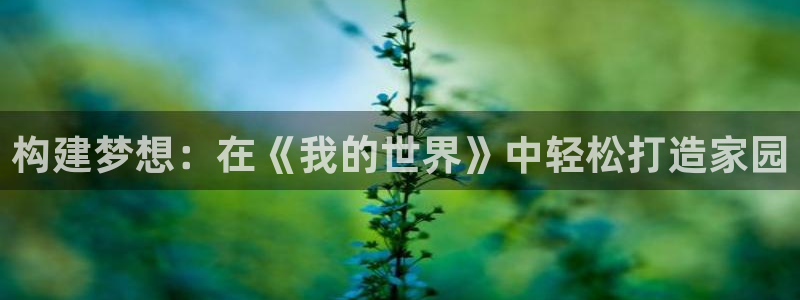 LV国际大厅有挂吗：构建梦想：在《我的世界》中轻松打造家园