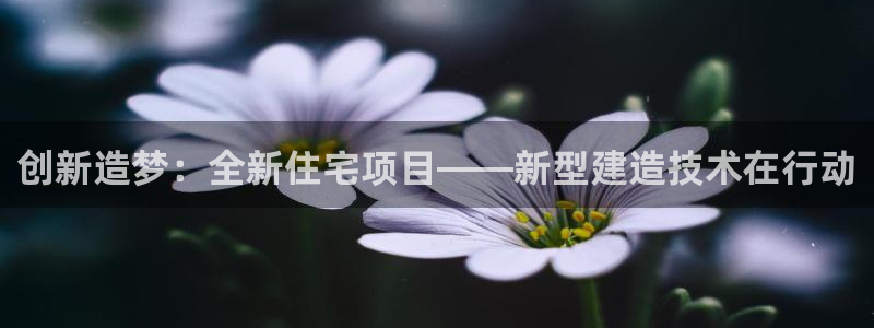 LV国际系统：创新造梦：全新住宅项目——新型建造技术在行动