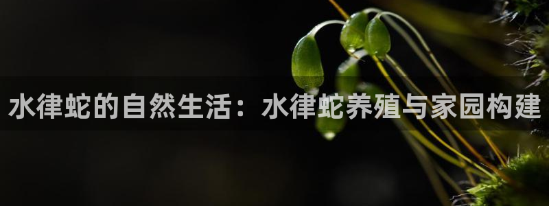 LV国际系统：水律蛇的自然生活：水律蛇养殖与家园构建