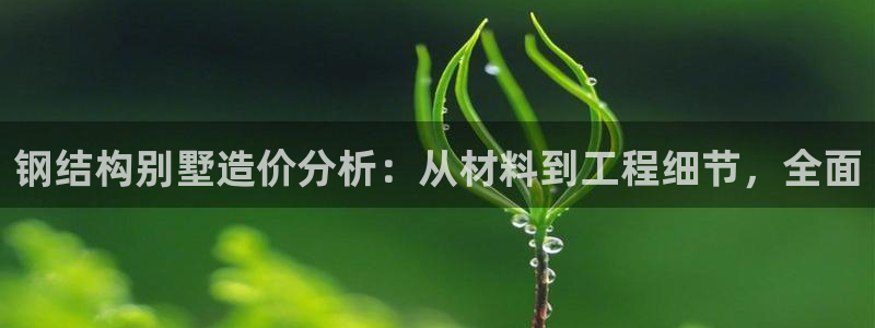 LV国际垫付金额：钢结构别墅造价分析：从材料到工程细节，全面