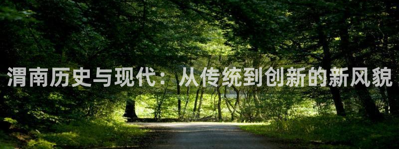怎么下载LV国际大厅：渭南历史与现代：从传统到创新的新风貌