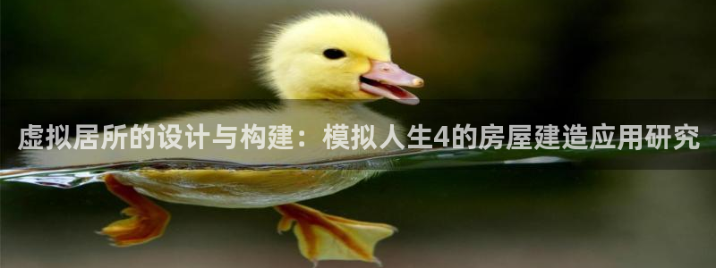 吉林LV国际：虚拟居所的设计与构建：模拟人生4的房屋建造应用研究