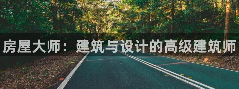 LV国际传媒：房屋大师：建筑与设计的高级建筑师