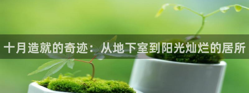 LV国际登录：十月造就的奇迹：从地下室到阳光灿烂的居所