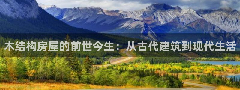 LV国际简介图片