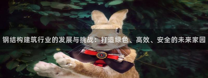 LV国际管理集团：钢结构建筑行业的发展与挑战：打造绿色、高效、安全的未来家园